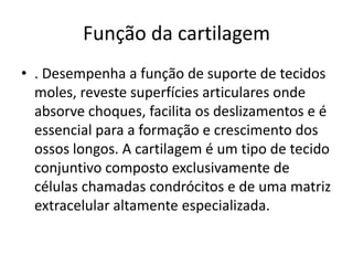 Função da cartilagem
• . Desempenha a função de suporte de tecidos
  moles, reveste superfícies articulares onde
  absorve choques, facilita os deslizamentos e é
  essencial para a formação e crescimento dos
  ossos longos. A cartilagem é um tipo de tecido
  conjuntivo composto exclusivamente de
  células chamadas condrócitos e de uma matriz
  extracelular altamente especializada.
 