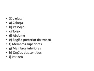 •   São eles:
•   a) Cabeça
•   b) Pescoço
•   c) Tórax
•   d) Abdome
•   e) Região posterior do tronco
•   f) Membros superiores
•   g) Membros inferiores
•   h) Órgãos dos sentidos
•   i) Períneo
 