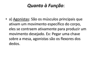 Quanto à Função:

• a) Agonistas: São os músculos principais que
  ativam um movimento específico do corpo,
  eles se contraem ativamente para produzir um
  movimento desejado. Ex: Pegar uma chave
  sobre a mesa, agonistas são os flexores dos
  dedos.
 