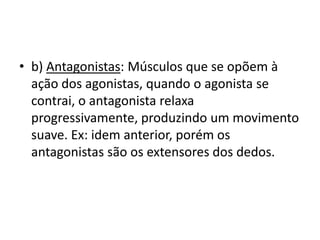 • b) Antagonistas: Músculos que se opõem à
  ação dos agonistas, quando o agonista se
  contrai, o antagonista relaxa
  progressivamente, produzindo um movimento
  suave. Ex: idem anterior, porém os
  antagonistas são os extensores dos dedos.
 