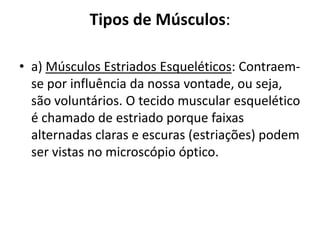 Tipos de Músculos:

• a) Músculos Estriados Esqueléticos: Contraem-
  se por influência da nossa vontade, ou seja,
  são voluntários. O tecido muscular esquelético
  é chamado de estriado porque faixas
  alternadas claras e escuras (estriações) podem
  ser vistas no microscópio óptico.
 