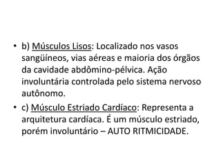 • b) Músculos Lisos: Localizado nos vasos
  sangüíneos, vias aéreas e maioria dos órgãos
  da cavidade abdômino-pélvica. Ação
  involuntária controlada pelo sistema nervoso
  autônomo.
• c) Músculo Estriado Cardíaco: Representa a
  arquitetura cardíaca. É um músculo estriado,
  porém involuntário – AUTO RITMICIDADE.
 