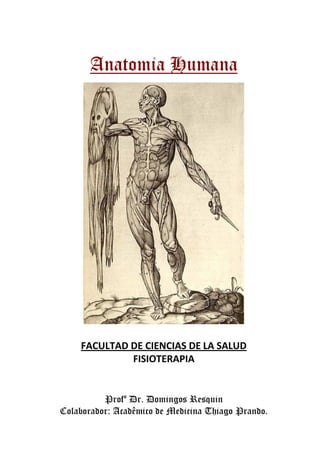 Anatomia Humana




    FACULTAD DE CIENCIAS DE LA SALUD
             FISIOTERAPIA


          Profº Dr. Domingos Resquin
Colaborador: Acadêmico de Medicina Thiago Prando.
 