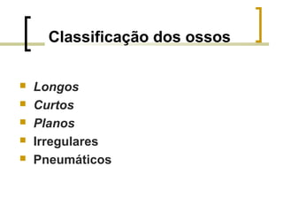 Classificação dos ossos
 Longos
 Curtos
 Planos
 Irregulares
 Pneumáticos
 