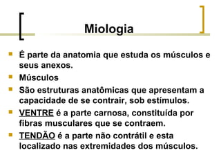 Miologia
 É parte da anatomia que estuda os músculos e
seus anexos.
 Músculos
 São estruturas anatômicas que apresentam a
capacidade de se contrair, sob estímulos.
 VENTRE é a parte carnosa, constituída por
fibras musculares que se contraem.
 TENDÃO é a parte não contrátil e esta
localizado nas extremidades dos músculos.
 