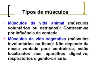 Tipos de músculos
 Músculos da vida animal (músculos
voluntários ou estriados): Contraem-se
por influência da vontade.
 Músculos da vida vegetativa (músculos
involuntários ou lisos): Não depende da
nossa vontade para contrair-se, estão
localizados nos aparelhos digestivo,
respiratórios e genito-urinário.
 