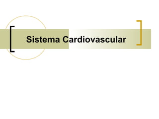 Sistema Cardiovascular
 