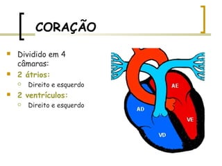 CORAÇÃO
 Dividido em 4
câmaras:
 2 átrios:
 Direito e esquerdo
 2 ventrículos:
 Direito e esquerdo
 
