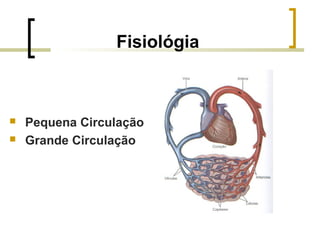 Fisiológia
 Pequena Circulação
 Grande Circulação
 