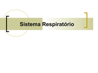 Sistema Respiratório
 