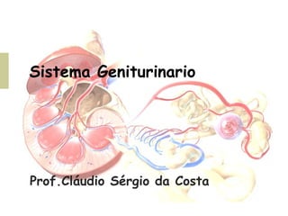 Sistema Geniturinario
Prof.Cláudio Sérgio da Costa
 