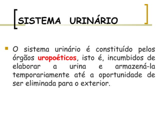 SISTEMA  URINÁRIO
 O sistema urinário é constituído pelos
órgãos uropoéticos, isto é, incumbidos de
elaborar a urina e armazená-la
temporariamente até a oportunidade de
ser eliminada para o exterior.
 