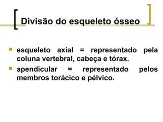 Divisão do esqueleto ósseo
 esqueleto axial = representado pela
coluna vertebral, cabeça e tórax.
 apendicular = representado pelos
membros torácico e pélvico.
 