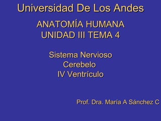 Universidad De Los Andes ANATOMÍA HUMANA UNIDAD III TEMA 4 Sistema Nervioso Cerebelo  IV Ventrículo Prof. Dra. María A Sánchez C 