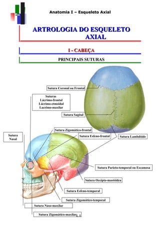 Anatomia I – Esqueleto Axial



         ARTROLOGIA DO ESQUELETO
                     AXIAL

                                  I - CABEÇA
                        PRINCIPAIS SUTURAS




                 Sutura Coronal ou Frontal

                Suturas
             Lácrimo-frontal
            Lácrimo-etmoidal
            Lacrimo-maxilar

                               Sutura Sagital



                      Sutura Zigomático-frontal
Sutura                                    Sutura Esfeno-frontal       Sutura Lambdóide
 Nasal




                                                        Sutura Parieto-temporal ou Escamosa


                                                Sutura Occípto-mastóidea


                                 Sutura Esfeno-temporal

                                Sutura Zigomático-temporal
         Sutura Naso-maxilar

           Sutura Zigomático-maxilarL 1
 