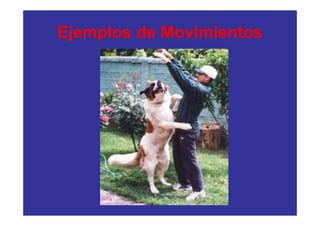 Ejemplos de Movimientos
 