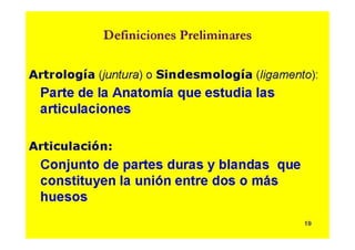 Anatomia i  generalidades
