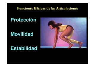 Anatomia i  generalidades