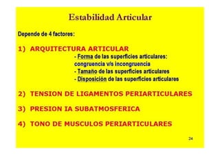 Anatomia i  generalidades