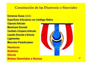 Anatomia i  generalidades