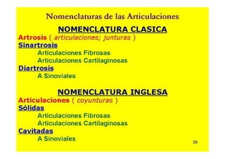 Anatomia i  generalidades