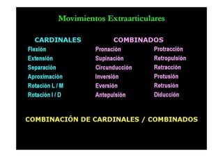 Anatomia i  generalidades