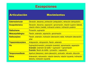 Excepciones

Articulación                                    Movimientos

Esternoclavicular     Elevación, descenso, protracción (antepulsión), retracción (retropulsión)
Escapulotorácica      Elevación, descenso, separación, aproximación, rotación superior (lateral),
                      rotación inferior (medial), inclinación anterior, inclinación posterior
Radioulnares          Pronación, supinación
Metacarpofalángica    Flexión, extensión, separación, aproximación
Radiocarpiana         Flexión, extensión, inclinación (desviación) radial, inclinación (desviación)
                      ulnar
Trapezometacarpiana   Anteposición, retroposición, flexión, extensión
Pie                   Supinación(inversión), pronación (eversión), aproximación, separación
                      Inversión: extensión de tobillo + supinación + aproximación
                      Eversión: flexión de tobillo + pronación + separación
Temporomandibular     Apertura (descenso), cierre (elevación), protrusión, retrusión, diducción
Pelvis                Anteversión, retroversión, rotación derecha, rotación izquierda, inclinación
                      derecha, inclinación izquierda
 