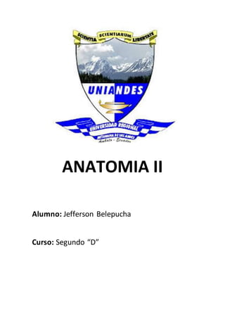 ANATOMIA II
Alumno: Jefferson Belepucha
Curso: Segundo “D”
 