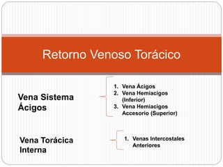 Retorno Venoso Torácico
Vena Sistema
Ácigos
1. Vena Ácigos
2. Vena Hemiacigos
(Inferior)
3. Vena Hemiacigos
Accesorio (Superior)
Vena Torácica
Interna
1. Venas Intercostales
Anteriores
 