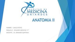 ANATOMIA II
NOMBRE : CARLOS REYES
PARALELO : SEGUNDO MEDICINA “C”
DOCENTE : Dr. ARMANDO QUINTANA
 