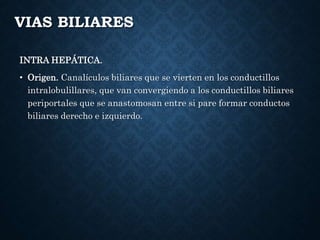 VIAS BILIARES
INTRA HEPÁTICA.
• Origen. Canalículos biliares que se vierten en los conductillos
intralobulillares, que van convergiendo a los conductillos biliares
periportales que se anastomosan entre si pare formar conductos
biliares derecho e izquierdo.
 