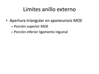 Limites anillo externo
• Apertura triangular en aponeurosis MOE
– Porción superior MOE
– Porción inferior ligamento inguinal
 