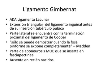 Ligamento Gimbernat
• AKA Ligamento Lacunar
• Extensión triangular del ligamento inguinal antes
de su inserción tubérculo pubico
• Parte lateral se encuentra con la terminación
proximal del ligamento de Cooper
• “sólo se puede demostrar cuando la fosa
piriforme se expone completamente” – Madden
• Parte de aponeurosis MOE que se inserta en
fasciapectinea
• Ausente en recién nacidos
 