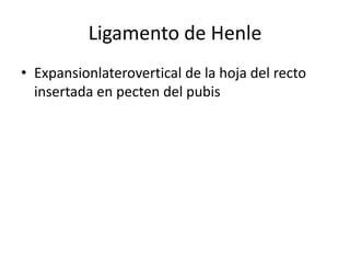 Ligamento de Henle
• Expansionlaterovertical de la hoja del recto
insertada en pecten del pubis
 