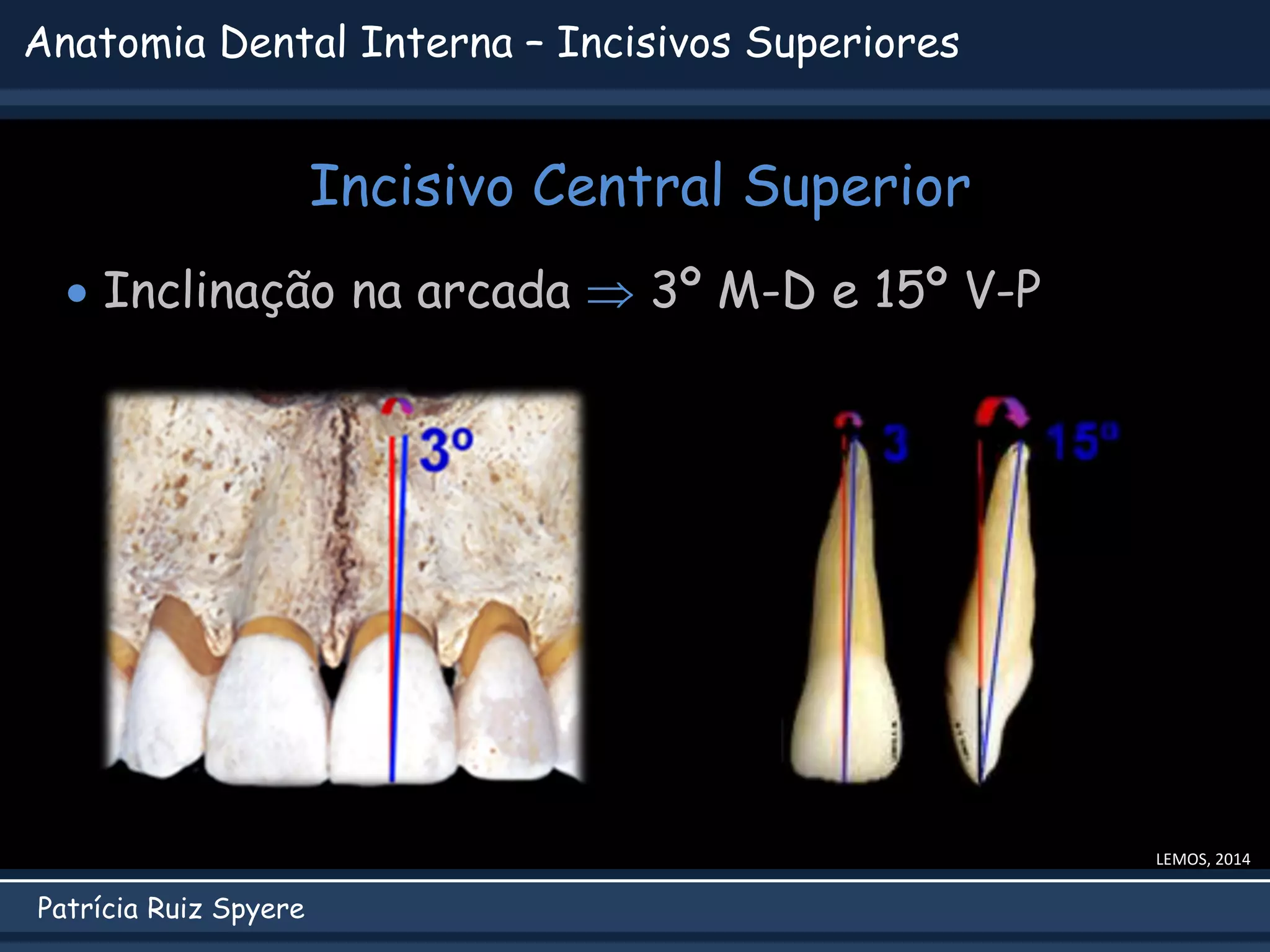 Anatomia Interna Dental.pdf