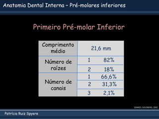Patrícia Ruiz Spyere
Anatomia Dental Interna – Pré-molares inferiores
SOARES; GOLDBERG, 2002
Comprimento
médio
Número de
raízes
Número de
canais
21,6 mm
1 66,6%
1 82%
2 18%
3 2,1%
2 31,3%
Primeiro Pré-molar Inferior
 