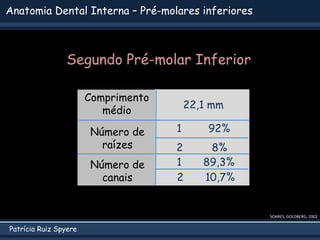 Patrícia Ruiz Spyere
Anatomia Dental Interna – Pré-molares inferiores
SOARES; GOLDBERG, 2002
Comprimento
médio
Número de
raízes
Número de
canais
22,1 mm
1 89,3%
1 92%
2 8%
2 10,7%
Segundo Pré-molar Inferior
 