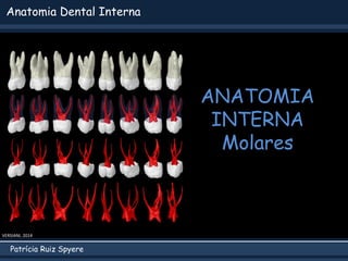 Patrícia Ruiz Spyere
Anatomia Dental Interna
ANATOMIA
INTERNA
Molares
VERSIANI, 2014
 