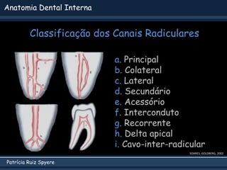 Patrícia Ruiz Spyere
Anatomia Dental Interna
Classificação dos Canais Radiculares
a. Principal
b. Colateral
c. Lateral
d. Secundário
e. Acessório
f. Interconduto
g. Recorrente
h. Delta apical
i. Cavo-inter-radicular
SOARES; GOLDBERG, 2002
 
