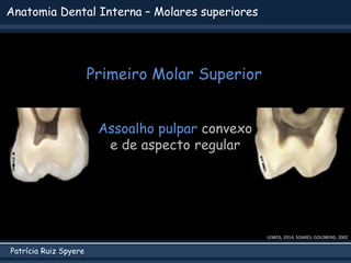 Patrícia Ruiz Spyere
Anatomia Dental Interna – Molares superiores
Primeiro Molar Superior
LEMOS, 2014; SOARES; GOLDBERG, 2002
Assoalho pulpar convexo
e de aspecto regular
 
