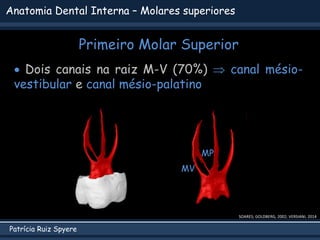 Patrícia Ruiz Spyere
Anatomia Dental Interna – Molares superiores
Primeiro Molar Superior
 Dois canais na raiz M-V (70%)  canal mésio-
vestibular e canal mésio-palatino
MV
MP
SOARES; GOLDBERG, 2002; VERSIANI, 2014
 