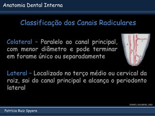 Patrícia Ruiz Spyere
Anatomia Dental Interna
Classificação dos Canais Radiculares
Colateral – Paralelo ao canal principal,
com menor diâmetro e pode terminar
em forame único ou separadamente
SOARES; GOLDBERG, 2002
Lateral – Localizado no terço médio ou cervical da
raiz, sai do canal principal e alcança o periodonto
lateral
 