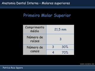 Patrícia Ruiz Spyere
Anatomia Dental Interna – Molares superiores
SOARES; GOLDBERG, 2002
Comprimento
médio
Número de
raízes
Número de
canais
21,5 mm
3
3 30%
4 70%
Primeiro Molar Superior
 