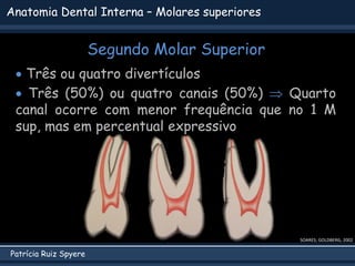 Patrícia Ruiz Spyere
Anatomia Dental Interna – Molares superiores
Segundo Molar Superior
SOARES; GOLDBERG, 2002
 Três ou quatro divertículos
 Três (50%) ou quatro canais (50%)  Quarto
canal ocorre com menor frequência que no 1 M
sup, mas em percentual expressivo
 