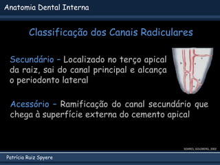 Patrícia Ruiz Spyere
Anatomia Dental Interna
Classificação dos Canais Radiculares
Secundário – Localizado no terço apical
da raiz, sai do canal principal e alcança
o periodonto lateral
SOARES; GOLDBERG, 2002
Acessório – Ramificação do canal secundário que
chega à superfície externa do cemento apical
 