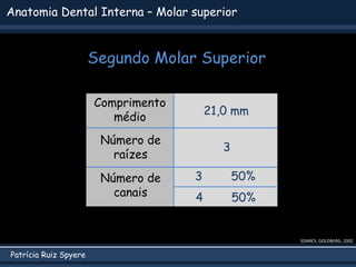 Patrícia Ruiz Spyere
Anatomia Dental Interna – Molar superior
SOARES; GOLDBERG, 2002
Comprimento
médio
Número de
raízes
Número de
canais
21,0 mm
3
3 50%
4 50%
Segundo Molar Superior
 