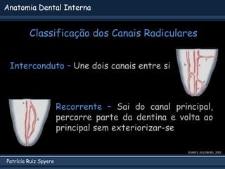 Patrícia Ruiz Spyere
Anatomia Dental Interna
Classificação dos Canais Radiculares
Interconduto – Une dois canais entre si
SOARES; GOLDBERG, 2002
Recorrente – Sai do canal principal,
percorre parte da dentina e volta ao
principal sem exteriorizar-se
 