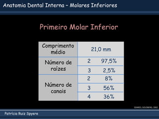 Patrícia Ruiz Spyere
Anatomia Dental Interna – Molares Inferiores
SOARES; GOLDBERG, 2002
Comprimento
médio
Número de
raízes
Número de
canais
21,0 mm
2 8%
3 56%
2 97,5%
3 2,5%
4 36%
Primeiro Molar Inferior
 