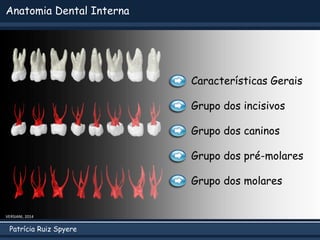 Patrícia Ruiz Spyere
Anatomia Dental Interna
Grupo dos incisivos
Grupo dos caninos
Grupo dos pré-molares
Grupo dos molares
Características Gerais
VERSIANI, 2014
 