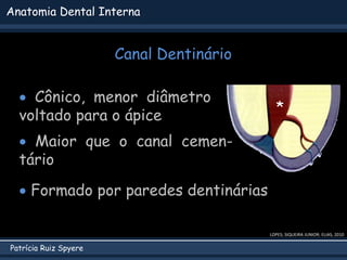 Patrícia Ruiz Spyere
Anatomia Dental Interna
Canal Dentinário
LOPES; SIQUEIRA JUNIOR; ELIAS, 2010
*
 Cônico, menor diâmetro
voltado para o ápice
 Maior que o canal cemen-
tário
 Formado por paredes dentinárias
 